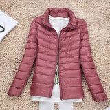 Dark Pink